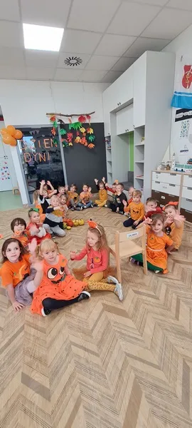 DDyni213.jpg